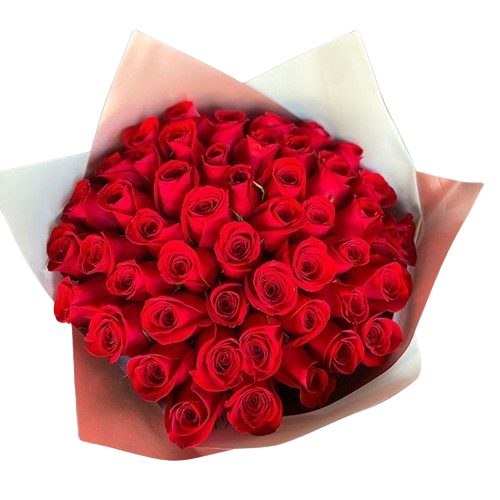 Gran Amor – Ramo con 50 Rosas Rojas, Un Símbolo de Amor Inmenso