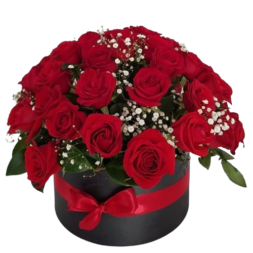 Eterno Romance – Caja de 24 Rosas Rojas con Gypso, Un Regalo de Lujo