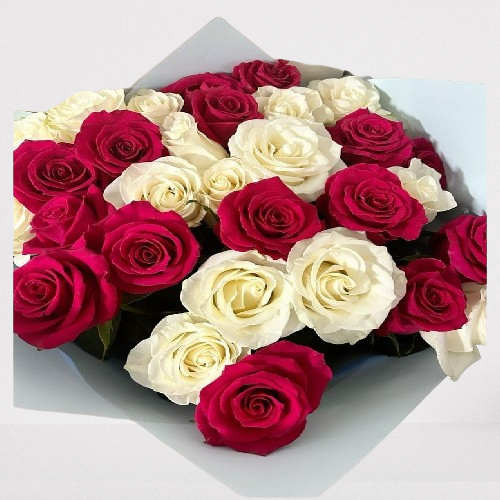 Romance Clásico – Ramo con 24 Rosas Rojas y Blancas